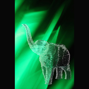 olifant schilderij fotografie groen glaskunst