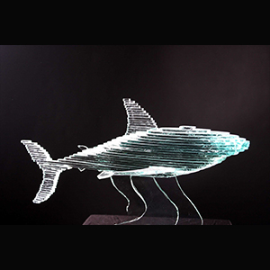 haai zee glaskunst